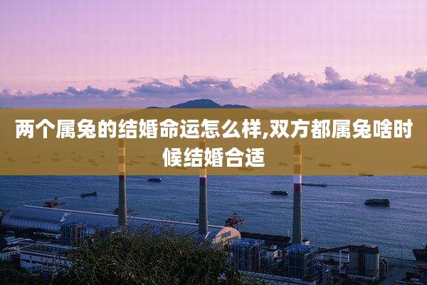 两个属兔的结婚命运怎么样,双方都属兔啥时候结婚合适
