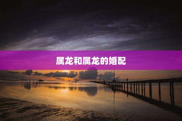 属龙和属龙的婚配