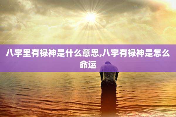 八字里有禄神是什么意思,八字有禄神是怎么命运