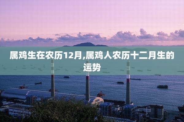 属鸡生在农历12月,属鸡人农历十二月生的运势