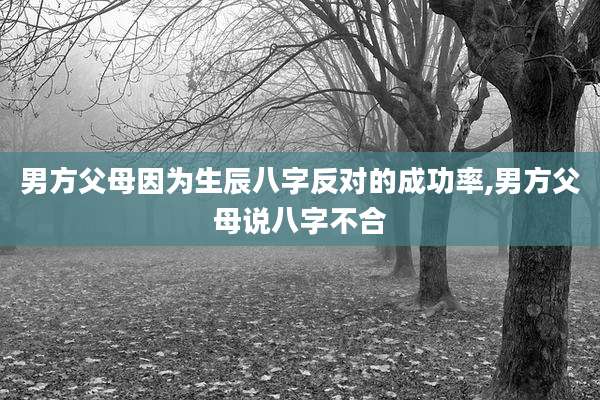 男方父母因为生辰八字反对的成功率,男方父母说八字不合