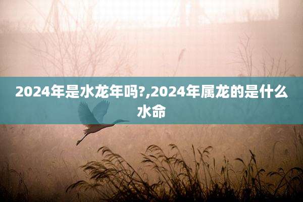 2024年是水龙年吗?,2024年属龙的是什么水命