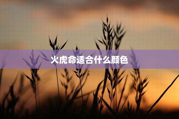 火虎命适合什么颜色