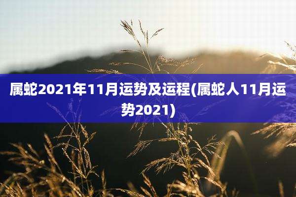 属蛇2021年11月运势及运程(属蛇人11月运势2021)