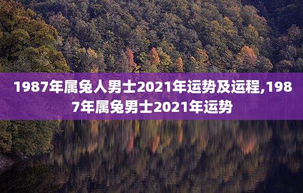 1987年属兔人男士2021年运势及运程,1987年属兔男士2021年运势