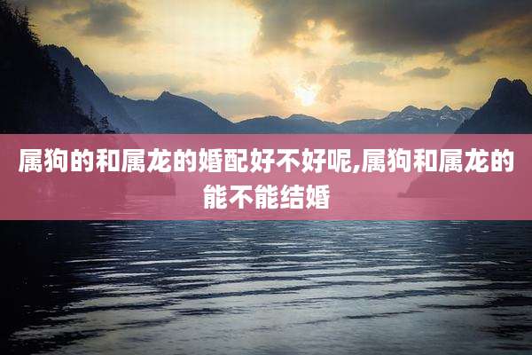 属狗的和属龙的婚配好不好呢,属狗和属龙的能不能结婚