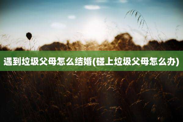 遇到垃圾父母怎么结婚(碰上垃圾父母怎么办)