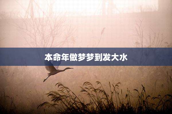 本命年做梦梦到发大水