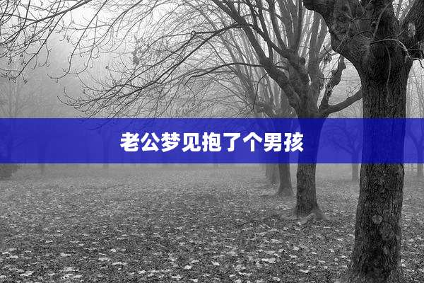 老公梦见抱了个男孩