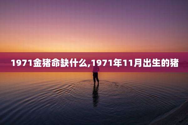 1971金猪命缺什么,1971年11月出生的猪