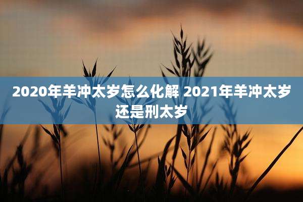 2020年羊冲太岁怎么化解 2021年羊冲太岁还是刑太岁