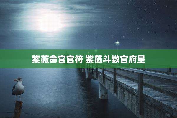 紫薇命宫官符 紫薇斗数官府星