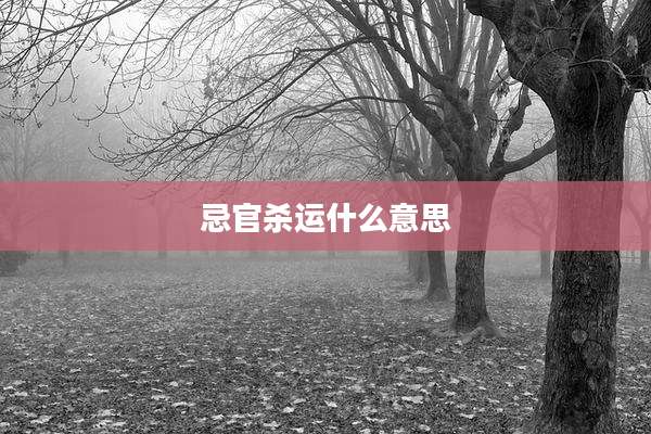 忌官杀运什么意思
