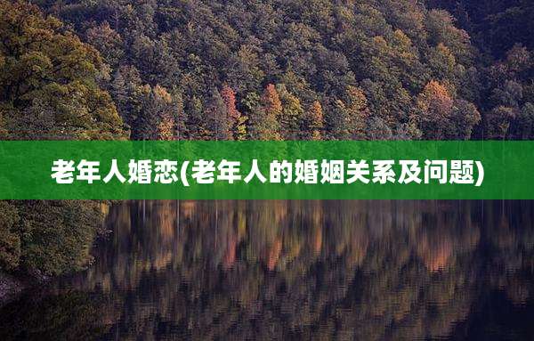 老年人婚恋(老年人的婚姻关系及问题)