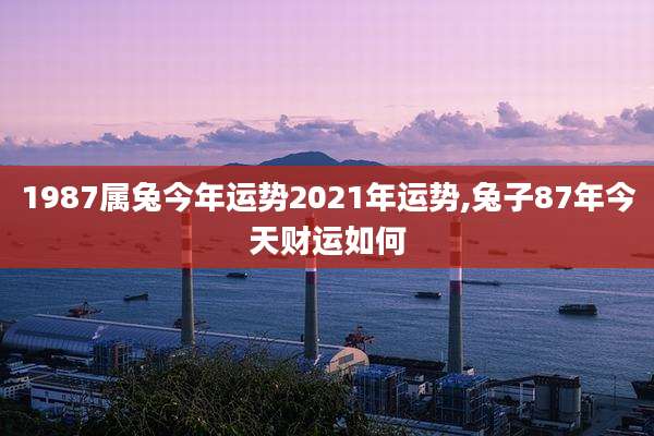1987属兔今年运势2021年运势,兔子87年今天财运如何