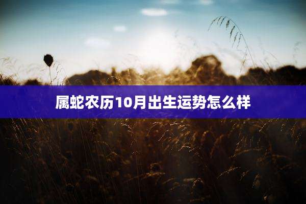 属蛇农历10月出生运势怎么样