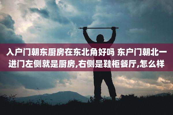 入户门朝东厨房在东北角好吗 东户门朝北一进门左侧就是厨房,右侧是鞋柜餐厅,怎么样