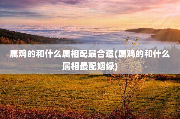 属鸡的和什么属相配最合适(属鸡的和什么属相最配姻缘)