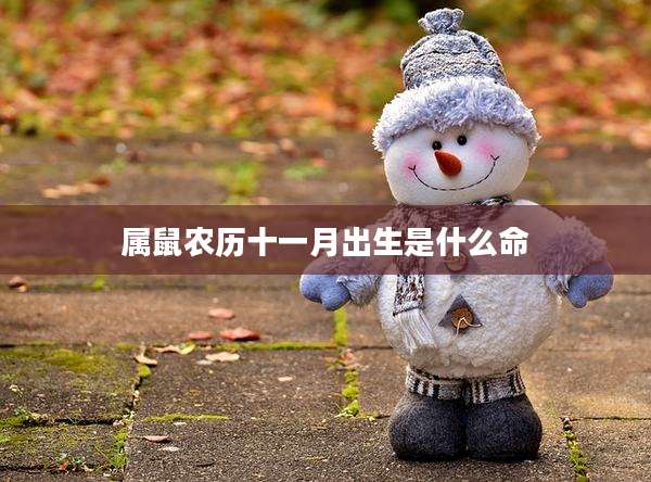 属鼠农历十一月出生是什么命