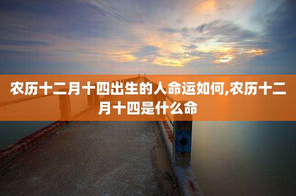 农历十二月十四出生的人命运如何,农历十二月十四是什么命