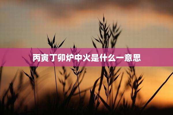 丙寅丁卯炉中火是什么一意思