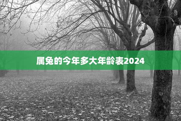 属兔的今年多大年龄表2024
