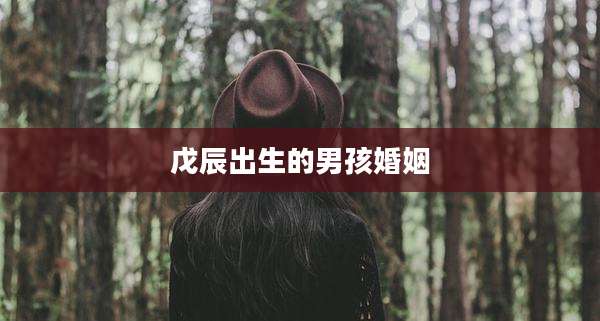 戊辰出生的男孩婚姻