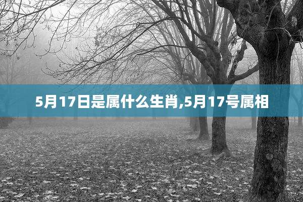 5月17日是属什么生肖,5月17号属相