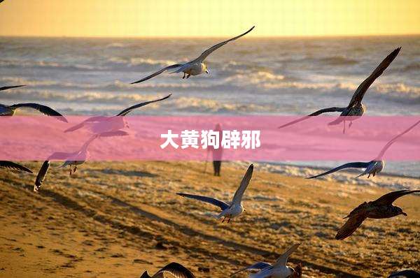 大黄狗辟邪