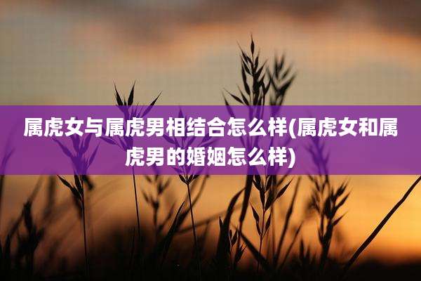 属虎女与属虎男相结合怎么样(属虎女和属虎男的婚姻怎么样)