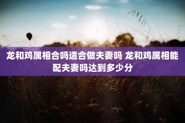 龙和鸡属相合吗适合做夫妻吗 龙和鸡属相能配夫妻吗达到多少分