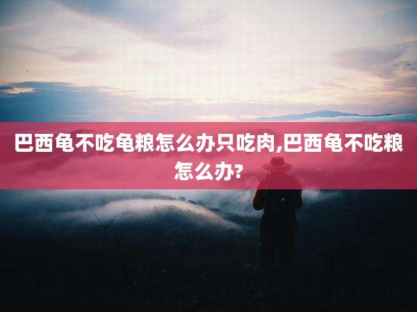 巴西龟不吃龟粮怎么办只吃肉,巴西龟不吃粮怎么办?
