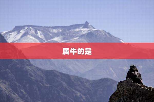属牛的是