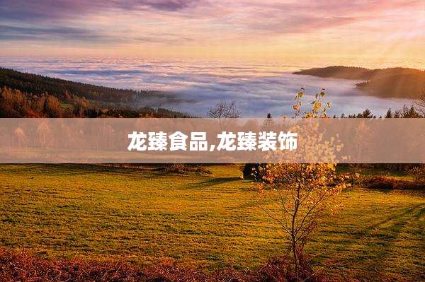 龙臻食品,龙臻装饰