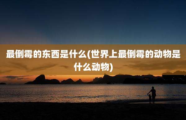 最倒霉的东西是什么(世界上最倒霉的动物是什么动物)