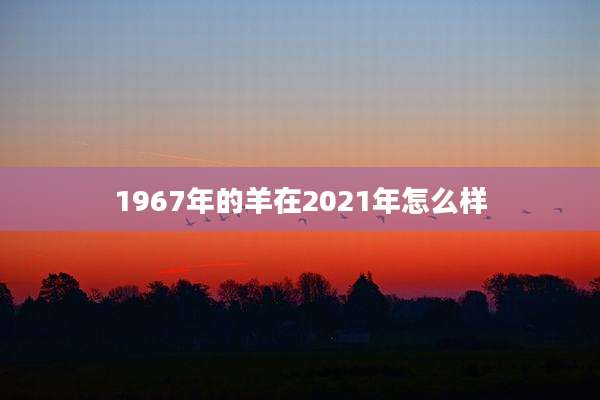 1967年的羊在2021年怎么样