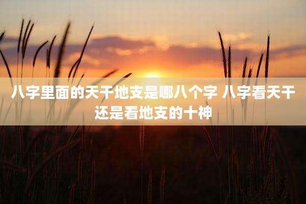 八字里面的天干地支是哪八个字 八字看天干还是看地支的十神