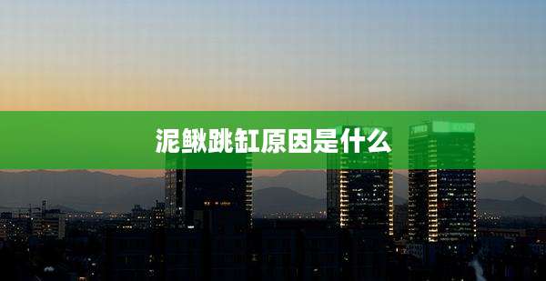 泥鳅跳缸原因是什么