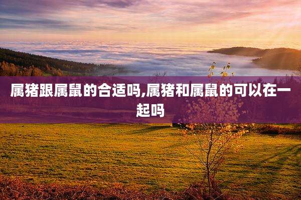属猪跟属鼠的合适吗,属猪和属鼠的可以在一起吗