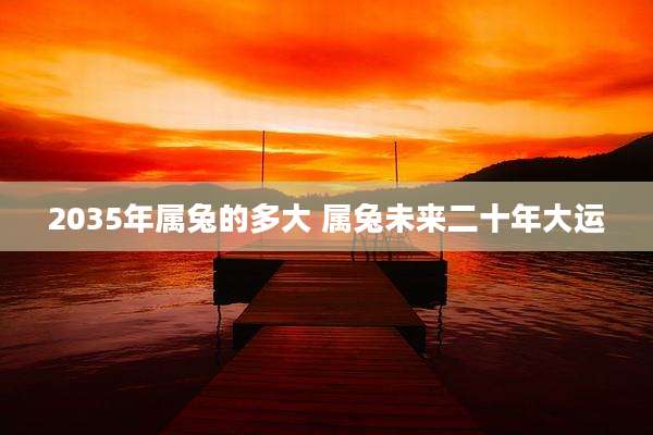 2035年属兔的多大 属兔未来二十年大运