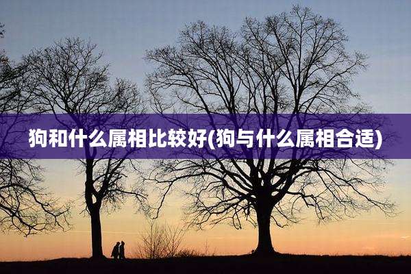 狗和什么属相比较好(狗与什么属相合适)