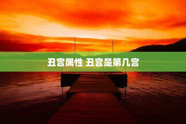 丑宫属性 丑宫是第几宫
