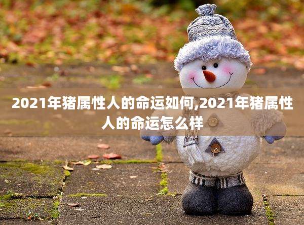 2021年猪属性人的命运如何,2021年猪属性人的命运怎么样