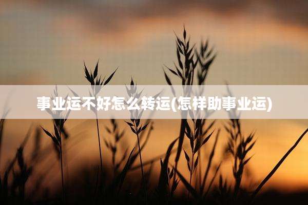 事业运不好怎么转运(怎样助事业运)