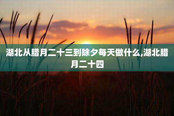湖北从腊月二十三到除夕每天做什么,湖北腊月二十四