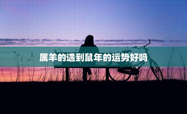 属羊的遇到鼠年的运势好吗