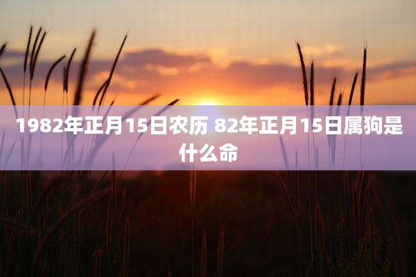 1982年正月15日农历 82年正月15日属狗是什么命