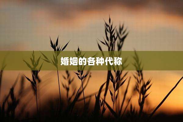 婚姻的各种代称