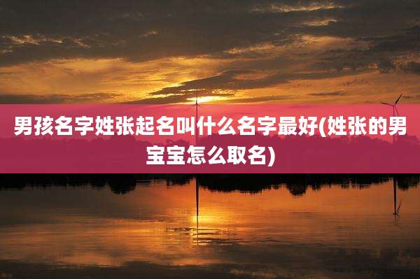 男孩名字姓张起名叫什么名字最好(姓张的男宝宝怎么取名)