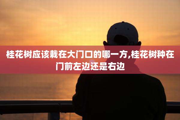 桂花树应该栽在大门口的哪一方,桂花树种在门前左边还是右边